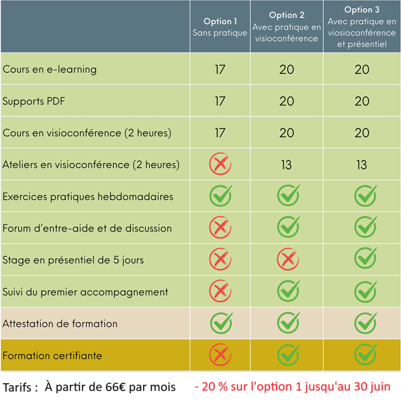 Formation certifiante accompagnant par l expression artistique praticien en art therapie tarifs cours et ateliers