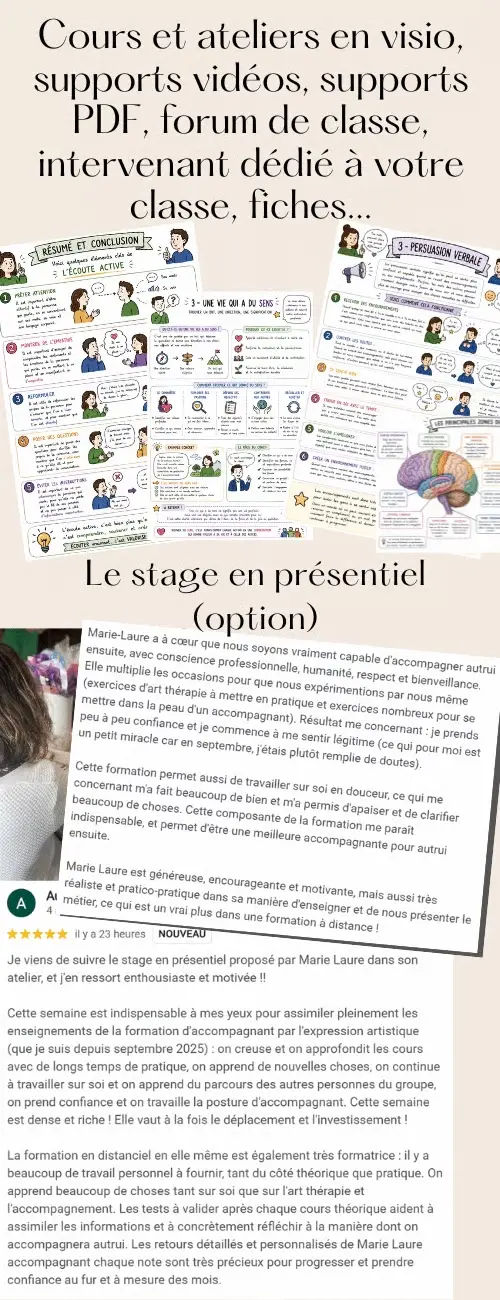 Infographie de la formation d'art-thérapie C.A-T  fiches de cours illustrées et avis d'élèves sur le stage pratique en présentiel et les ateliers de groupe en distanciel.