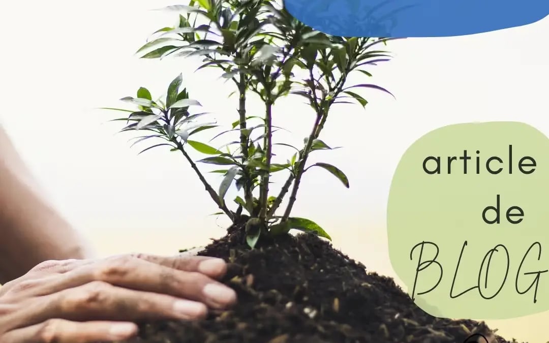 Photographie representant des mains qui plantent un petit arbre pour illustrer l article de blog coaching art therapie la confiance en soi une plante qui se cultive jour apres jour