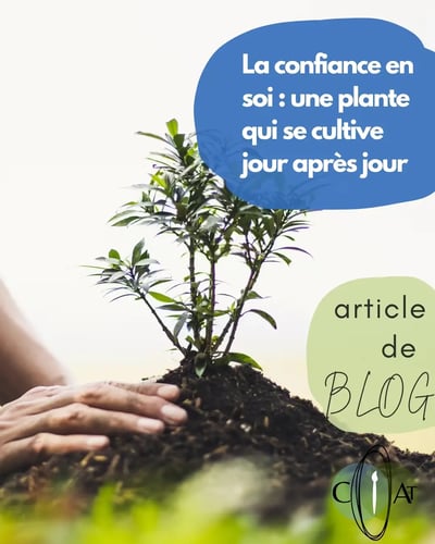 Photographie representant des mains qui plantent un petit arbre pour illustrer l article de blog coaching art therapie la confiance en soi une plante qui se cultive jour apres jour