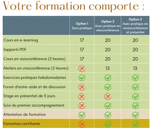 Tableau comparatif des options de formation certifiante en art-thérapie, théorique, pratique et stage présentiel. Comparaison des cours e-learning, visio et certifications C.A-T©