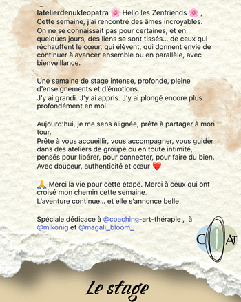 Temoigange stage de la formation certifiante accompagnant par l expression artistique praticien en art therapie